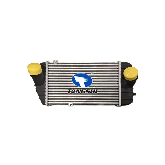 Auto Intercooler OEM 28270-2GTHO for Hyundai Santa Fe