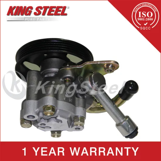 Best Selling Japanese Car Power Steering Pump for Murano 49110-CA000