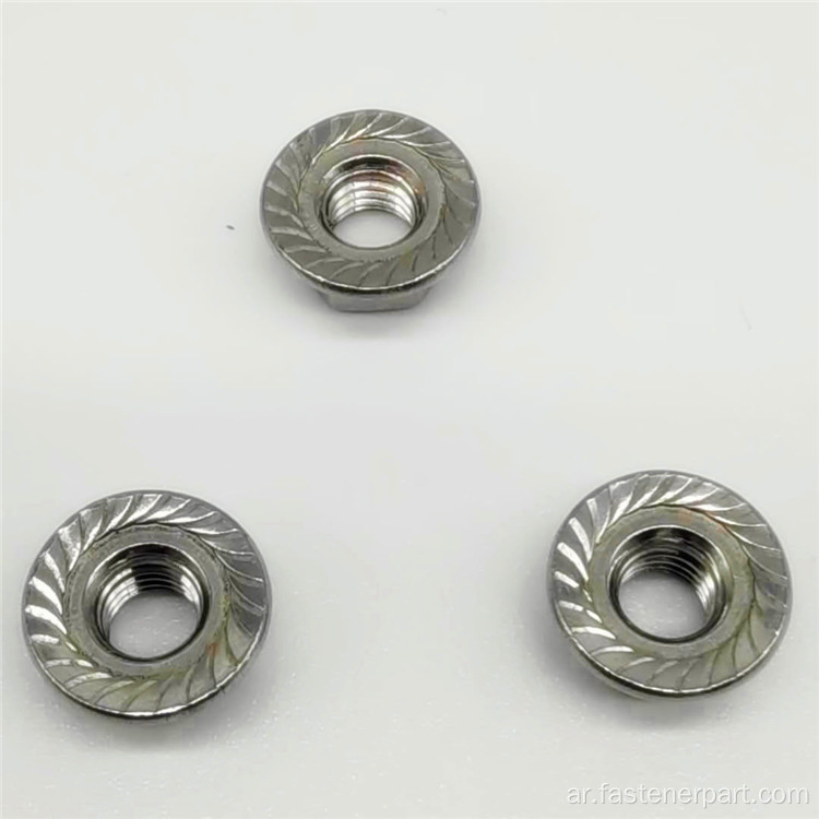 304 الفولاذ المقاوم للصدأ Din6923 Hex Flang Nut