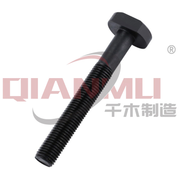 T shape head bolts with flange nuts