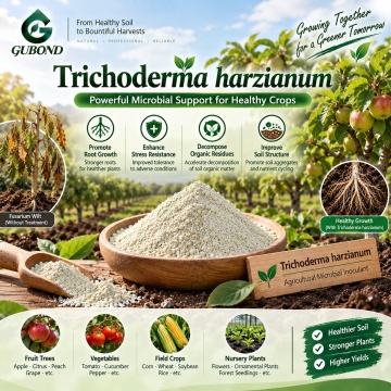 Trichoderma viride Microbial Powder لإدارة التربة والجذور