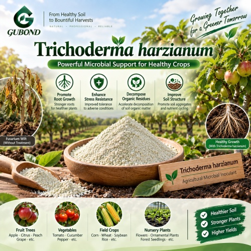 Trichoderma viride Microbial Powder لإدارة التربة والجذور