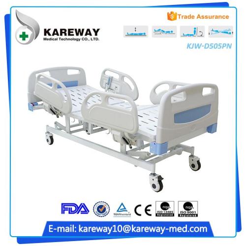 Kareway electric care bed platform bed