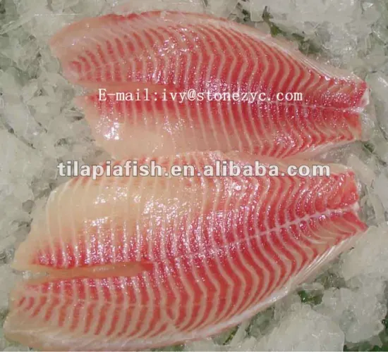 Delicious Fresh Frozen Fillets farming Tilapia