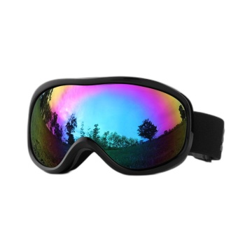Wide View Dual-Layer Anti-Fog Ski Goggles