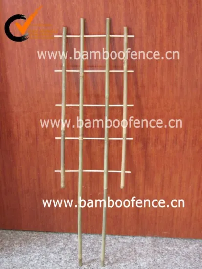 natural bamboo trellis