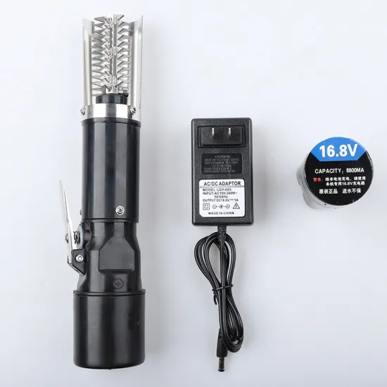 Hand-Held Electrical Fish Scales and Processors: Efficient Kitchen Tools for Fish Scaling