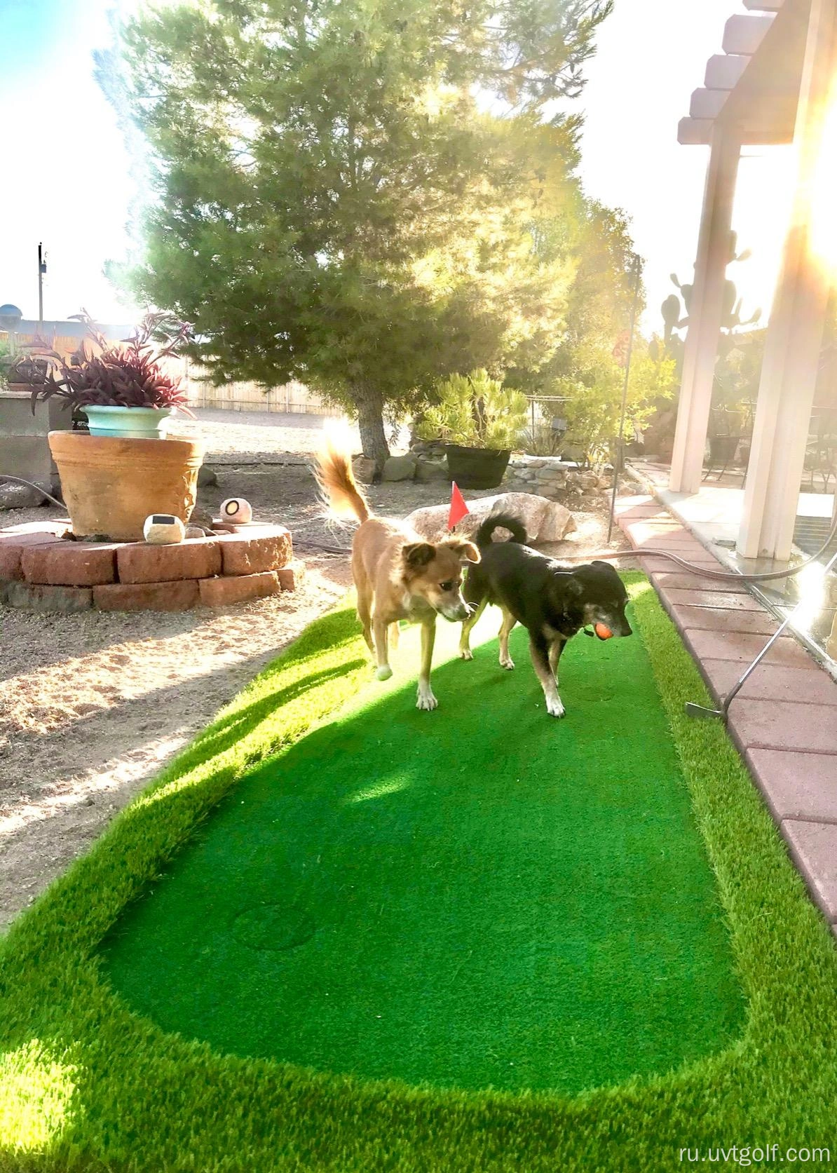 Golf Putting Green