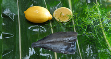 Yellow fins sole fillet