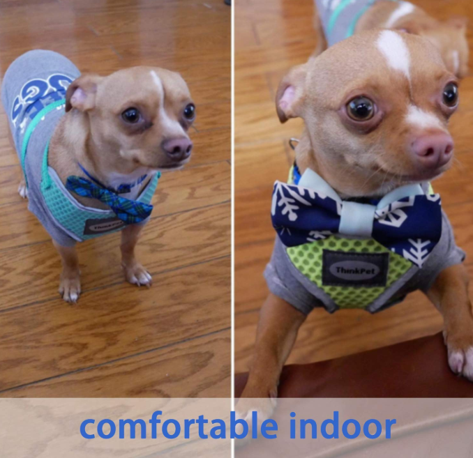 Breathable Soft Air Mesh Dog Harness