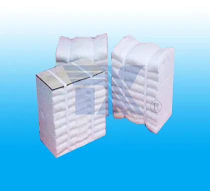 ceramic fiber module