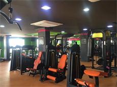 Professional Gym Fitness Equipment