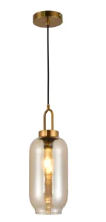 Unique indoor glass hanging light