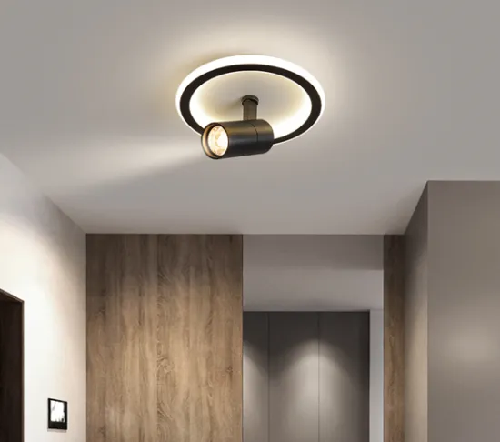 Nordic Aisle LED Ceiling Light: 20W 220V Indoor Lamp for Bedroom, Kitchen, Hallways