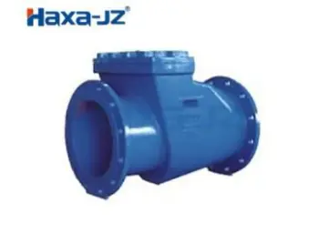Swing Check Valve
