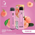 Einweg Gunnpod 2000 Puffs Vape Stift