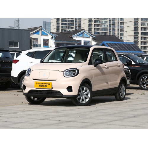 2024 Vânzare cu ridicata Mini vehicul electric pur