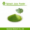 Freeze Dried Spinach Juice Powder