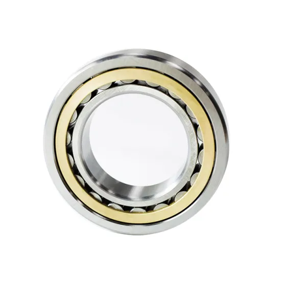 China Manufacturer's Cylindrical Roller Bearings: N Series Inventory Including N202, N203, N204, and N205 Models