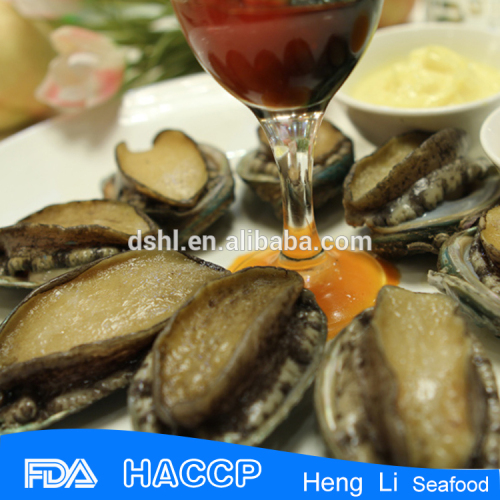 Canned Abalone meat