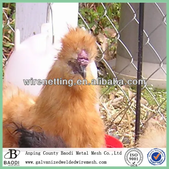 accordion chain link fence galvanized & pvc coated