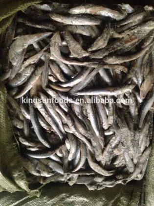 Frozen Anchovy