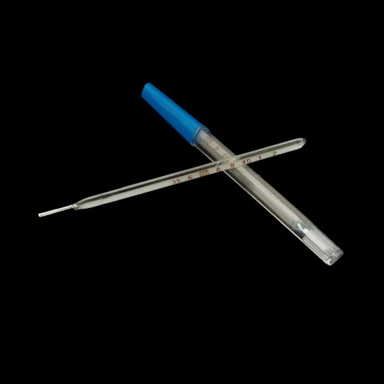 Model with Safety Plastic Mercury Thermometer