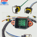 Diesel Engine Fuel Injection Wire Harness