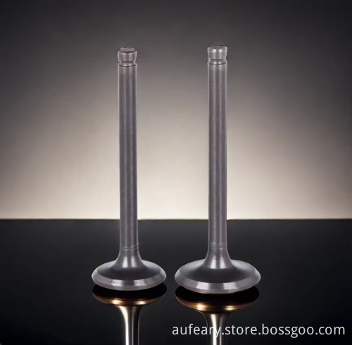 Durable Engine Valve 07P 109 601 07P 109 611 for Volkswagen Intake Exhaust
