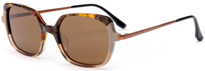 C3 Acetate Sunglasses Dark Tortoiseshell、Brown