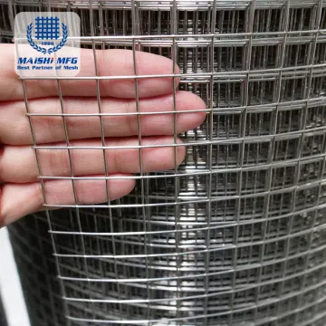 Galvanized Welded Cage Wire Mesh Roll for Poultry Netting and Cage Fencing