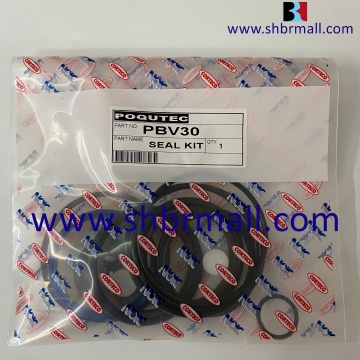 Aftermarket Seal Kits for POQUTEC PBV30 Hydraulic Hammer: Keeping Your Equipment in Top Shape