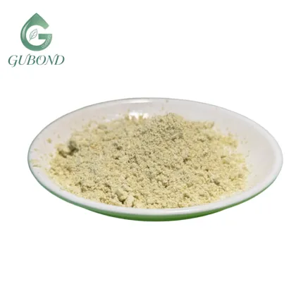 Black Maca Extract Powder Maca 20 1