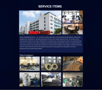 Galvanized Iron, Stainless Steel Nuts, Ring Nuts, Eyed Bolts, and Lifting Eye Nuts: Comprehensive Search Engine