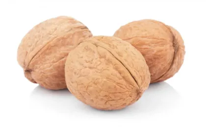 Wholesale Large Low Price Raw Walnuts and Organic Walnut Kernels from Xinjiang