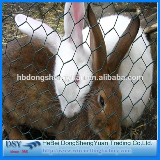 Hexagonal Hole Shape and Fence Mesh Application Hexagonal Wire Netting