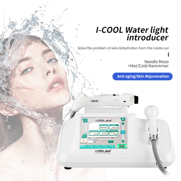 2024 Mesogun Small Molecule Water Light Needle Machine for Mesotherapy Beauty Treatment