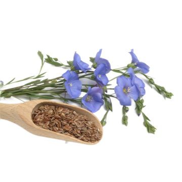 Flax seed extract powder SDG 50%