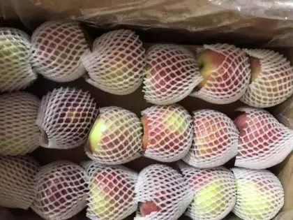 western plastic bagged qinguan