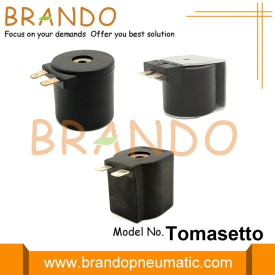12V Solenoid Coil For Tomasetto AT04 CNG Reducer