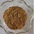 Natural High Quality Semen Nelumbinis Lotus Seed Extract