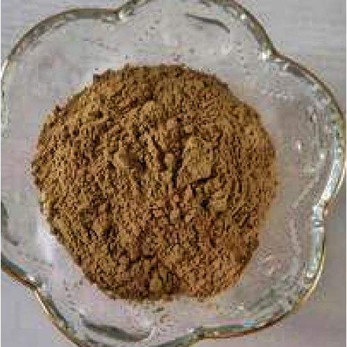 Natural High Quality Semen Nelumbinis Lotus Seed Extract