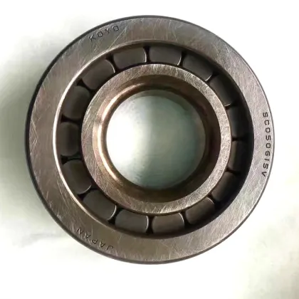 High Speed F-627858.01 NU-BNS 55x90x18mm Cylindrical Roller Bearing for Auto Vehicle and Scooter