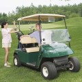 عربة جولف كهربائية بمقعدين لملاعب الجولف