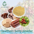 Порошок сухофруктов боярышника