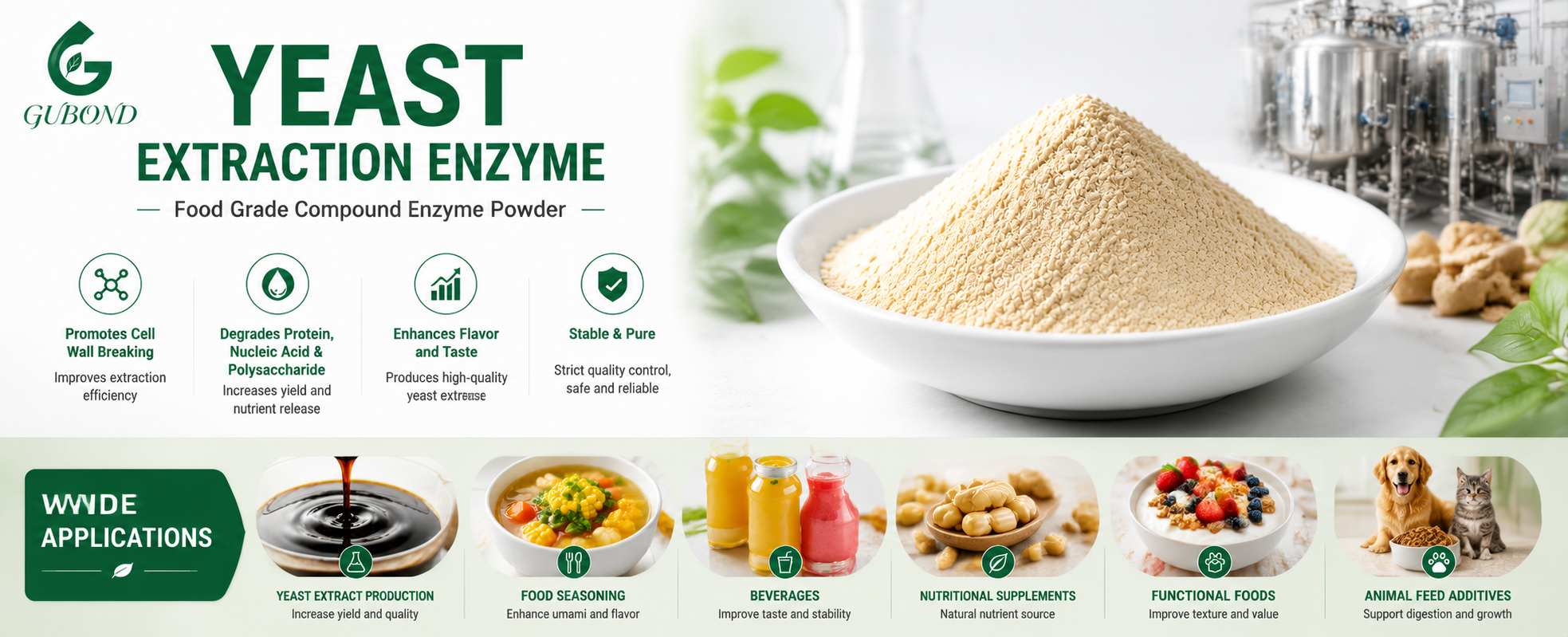 Yeast Extraction Enzyme (5)