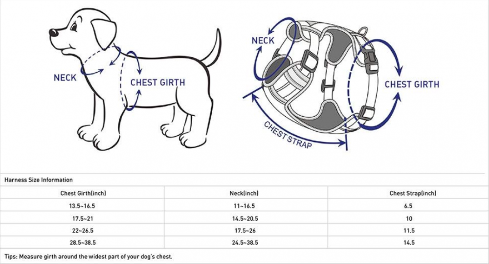 Multi-Colored Stripe Dog Harness