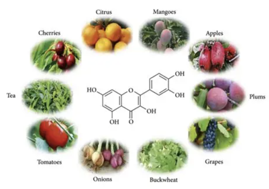 Quercetin Dihydrate Powder
