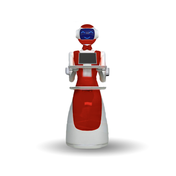 Humanoid Robot for Restaurant Food Delivery: Laser Navigation Automation