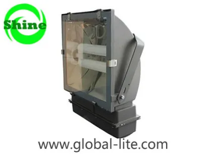 Induction Lighting Flood Light